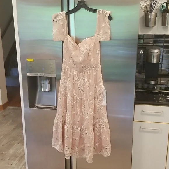 💕DRESS THE POPULATION💕 River Off the Shoulder Tiered Hem Dress ~ Blush XS NWT
